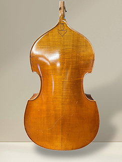 Kai Arvi New back