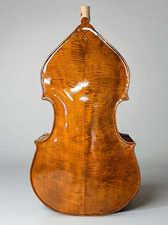 Kai Arvi New back