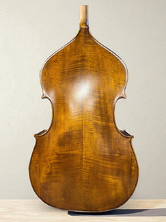 Kai Arvi New back